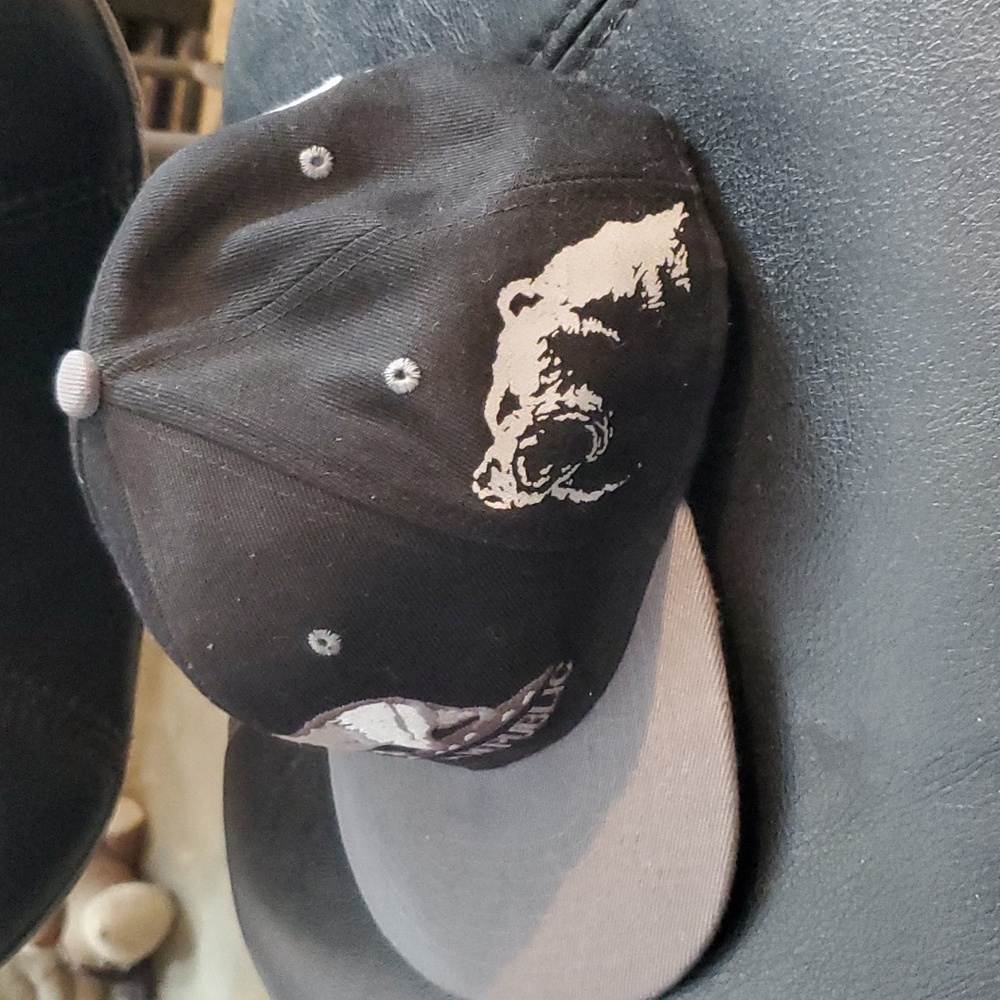 Hat - Picture 2 of 5